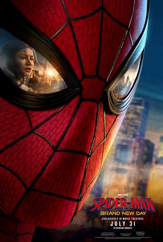 Spider-Man Costumes &amp; Accessories