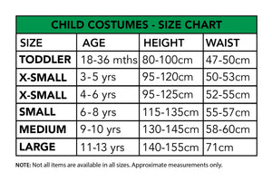 Elphaba Premium Costume for Kids - Wicked