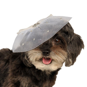 Fancy Formal Fascinator for Pets