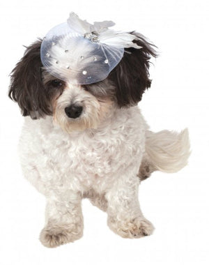 Fancy Formal Fascinator for Pets