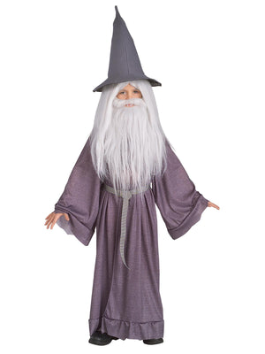 Gandalf Wig & Beard Kit for Kids & Adults - Warner Bros Lord of the Rings