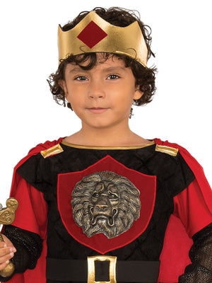 Little Knight Costume for Kids