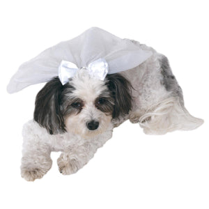 Wedding Veil Pet Accessory