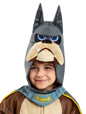Buy Ace Deluxe Costume for Toddlers & Kids - DC League of Super-Pets from Costume World