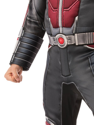 Buy Ant-Man Deluxe Costume for Adults - Marvel Ant-Man and The Wasp from Costume World