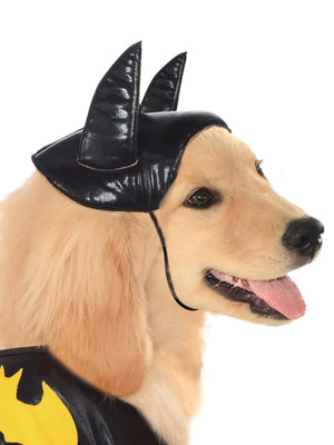 Buy Batgirl Pet Costume - Warner Bros DC Comics from Costume World