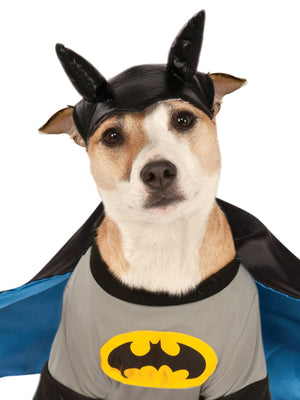 Buy Batman Deluxe Pet Costume - Warner Bros Batman: Brave and Bold from Costume World