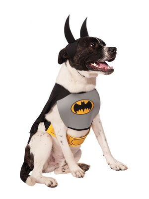 Buy Batman Pet Costume - Warner Bros DC Comics from Costume World
