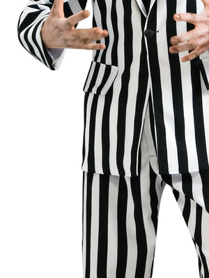 Buy Beetlejuice Collector's Edition Costume for Adults - Warner Bros Beetlejuice from Costume World