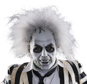 Buy Beetlejuice Overhead Mask With Hair for Adults - Warner Bros Beetlejuice from Costume World