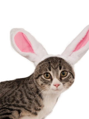 Buy Bunny Ears Pet Headband Accessory from Costume World