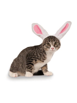 Buy Bunny Ears Pet Headband Accessory from Costume World