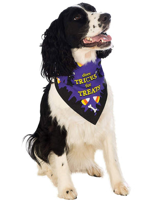 Buy Does Tricks For Treats Pet Bandana from Costume World