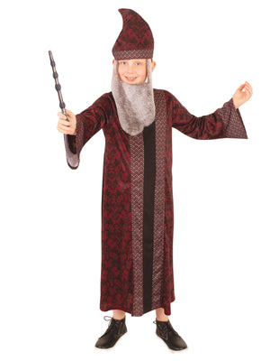 Buy Dumbledore Robe for Kids - Warner Bros Harry Potter from Costume World