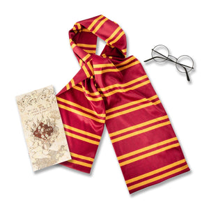 Buy Harry Potter Accessory Set - Warner Bros Harry Potter from Costume World