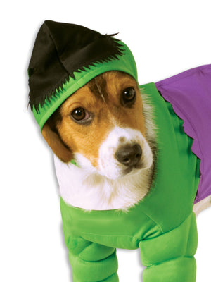 Buy Hulk Pet Costume - Marvel Avengers from Costume World