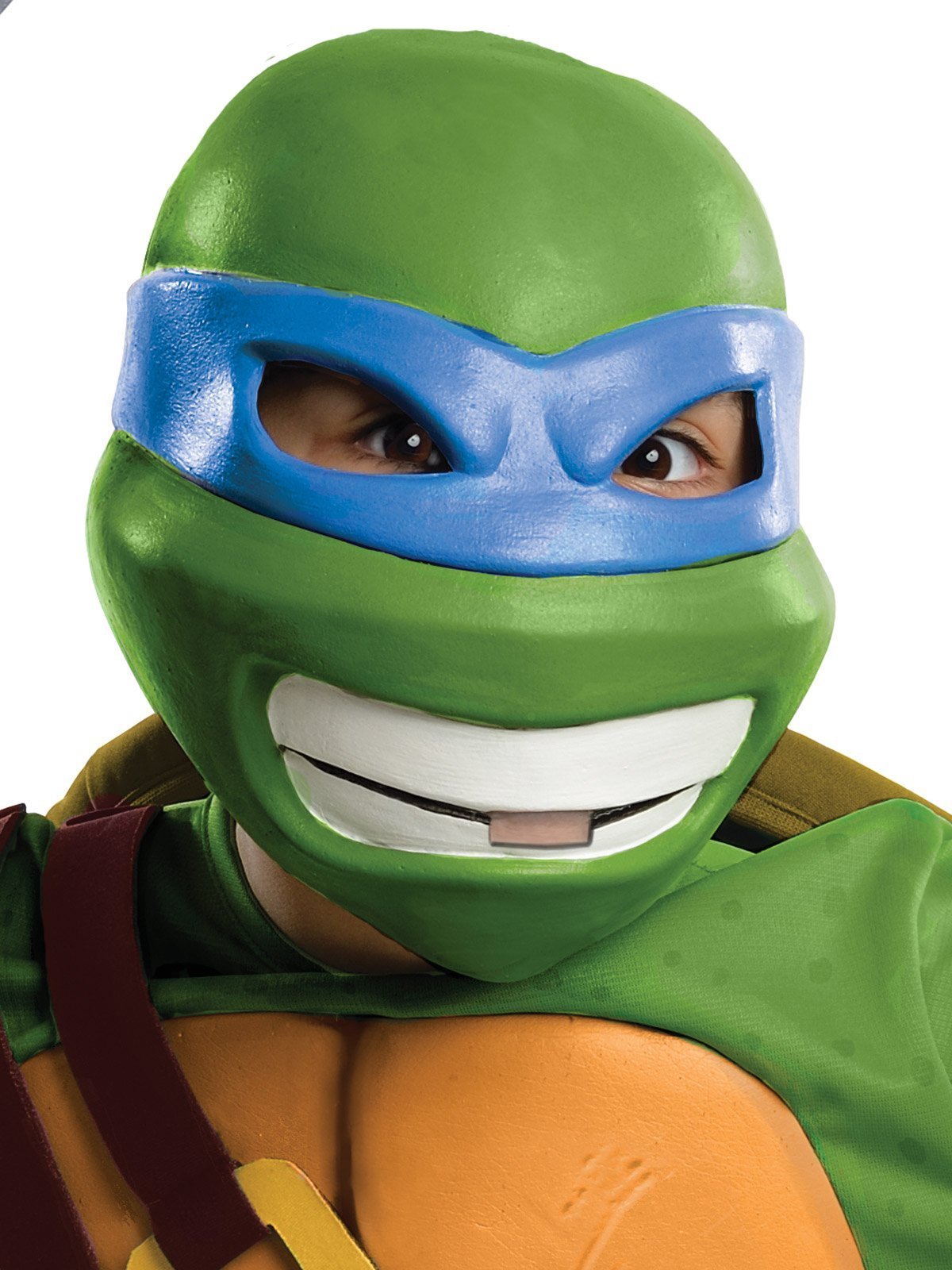 Teenage Mutant Ninja Turtles Boys Leonardo Halloween Costume, Rubies II,  Size L 