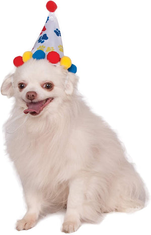 Buy Paw Print Birthday Boy Pet Hat from Costume World