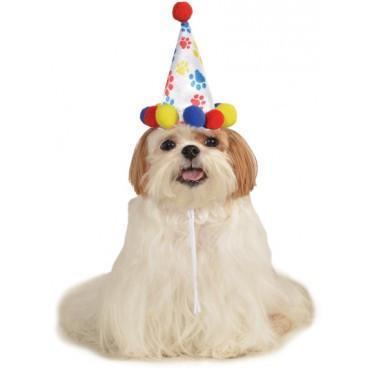 Paw Print Birthday Boy Pet Hat