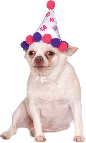 Buy Paw Print Birthday Girl Pet Hat from Costume World