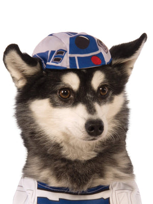 Buy R2-D2 Pet Costume - Disney Star Wars from Costume World