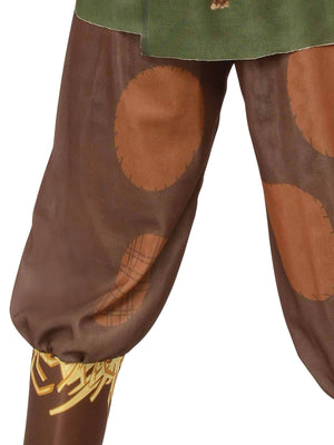 Buy Scarecrow Deluxe Costume for Kids - Warner Bros The Wizard of Oz from Costume World