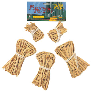 Buy Scarecrow Straw Kit for Kids - Warner Bros The Wizard of Oz from Costume World