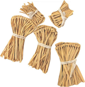 Buy Scarecrow Straw Kit for Kids - Warner Bros The Wizard of Oz from Costume World