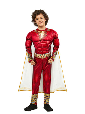 Buy Shazam 2 Deluxe Costume for Kids - Warner Bros Shazam! from Costume World
