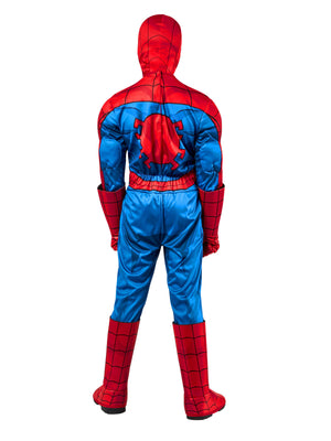 Buy Spider-Man Deluxe Costume for Kids - Marvel Spider-Man from Costume World