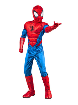 Buy Spider-Man Deluxe Costume for Kids - Marvel Spider-Man from Costume World