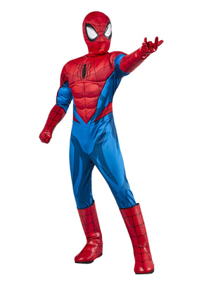 Buy Spider-Man Deluxe Costume for Kids - Marvel Spider-Man from Costume World