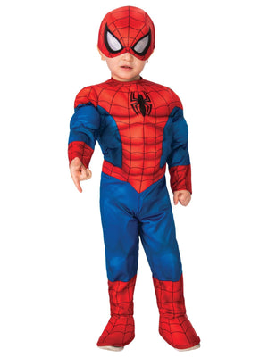 Buy Spider-Man Deluxe Costume for Toddlers - Marvel Spider-Man from Costume World