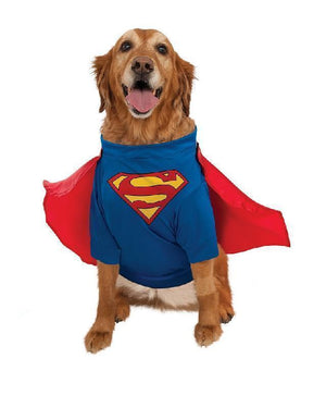 Buy Superman Deluxe Pet Costume - Warner Bros DC Comics from Costume World