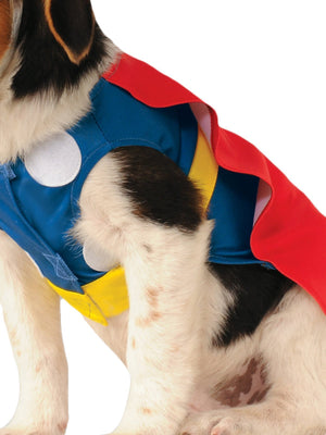 Buy Thor Pet Costume - Marvel Avengers from Costume World