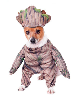 Buy Walking Groot Deluxe Pet Costume - Marvel Guardians Of The Galaxy from Costume World