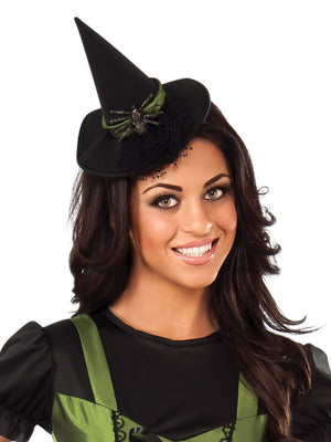 Buy Wicked Witch Of The West Costume for Adults - Warner Bros The Wizard of Oz from Costume World