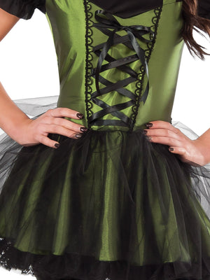 Buy Wicked Witch Of The West Costume for Adults - Warner Bros The Wizard of Oz from Costume World